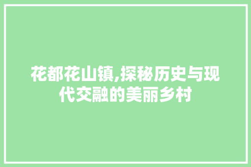 花都花山镇,探秘历史与现代交融的美丽乡村