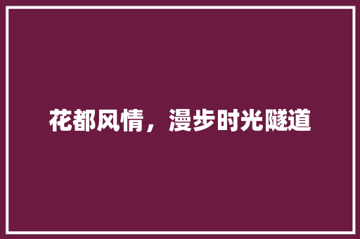 花都风情，漫步时光隧道