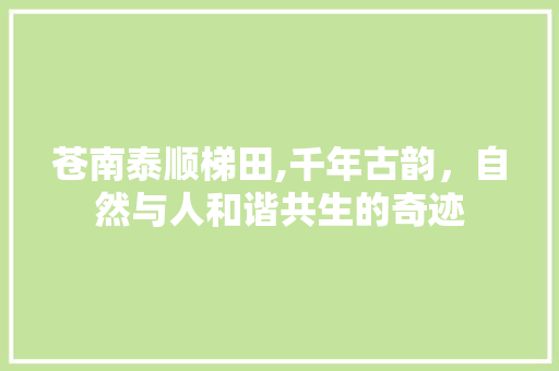 苍南泰顺梯田,千年古韵，自然与人和谐共生的奇迹