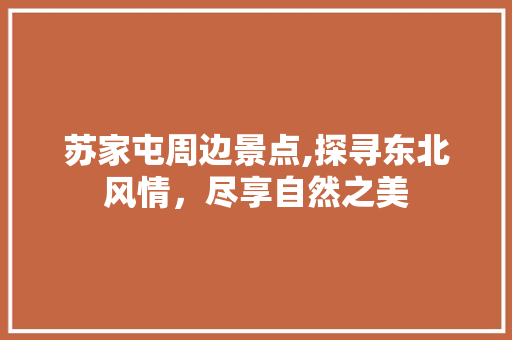 苏家屯周边景点,探寻东北风情，尽享自然之美