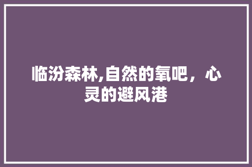 临汾森林,自然的氧吧，心灵的避风港