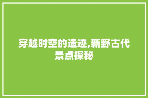 穿越时空的遗迹,新野古代景点探秘