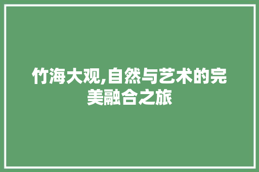 竹海大观,自然与艺术的完美融合之旅