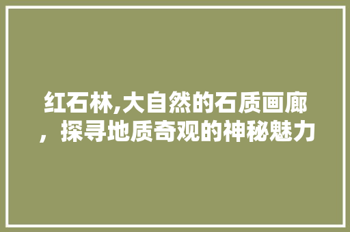 红石林,大自然的石质画廊，探寻地质奇观的神秘魅力