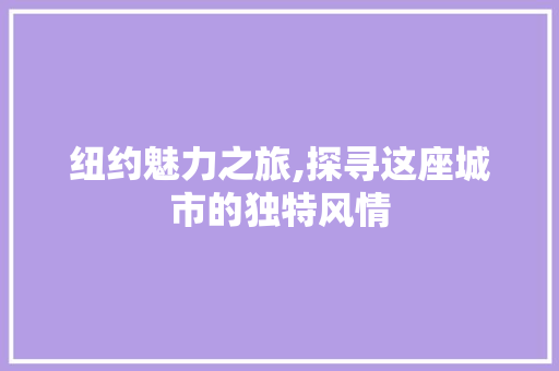 纽约魅力之旅,探寻这座城市的独特风情  第1张