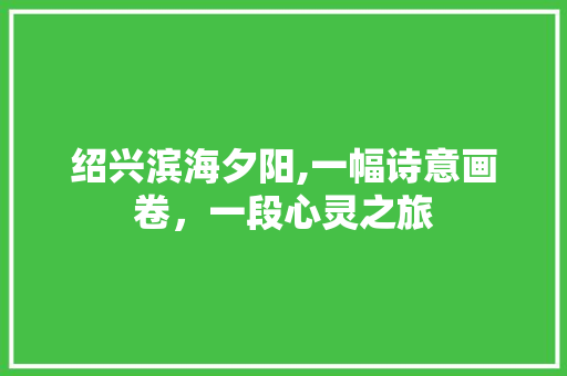 绍兴滨海夕阳,一幅诗意画卷，一段心灵之旅