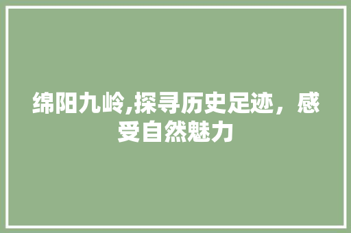 绵阳九岭,探寻历史足迹，感受自然魅力