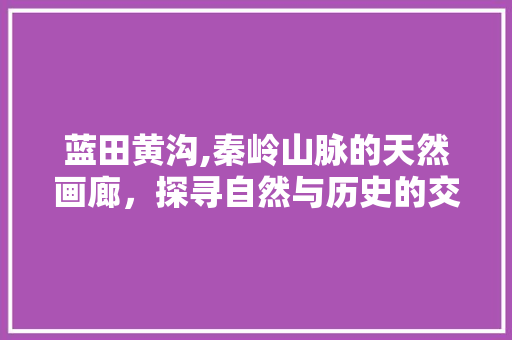 蓝田黄沟,秦岭山脉的天然画廊，探寻自然与历史的交融之美