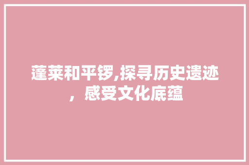蓬莱和平锣,探寻历史遗迹，感受文化底蕴