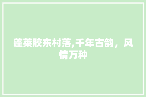 蓬莱胶东村落,千年古韵，风情万种  第1张