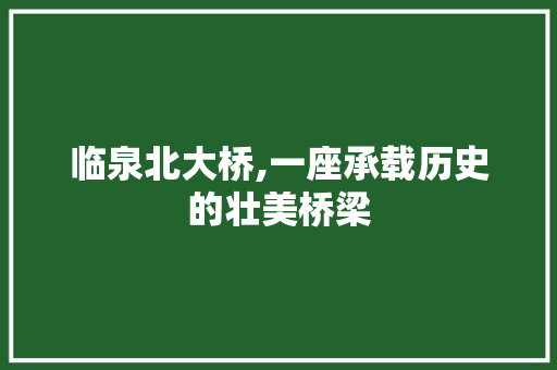 临泉北大桥,一座承载历史的壮美桥梁  第1张