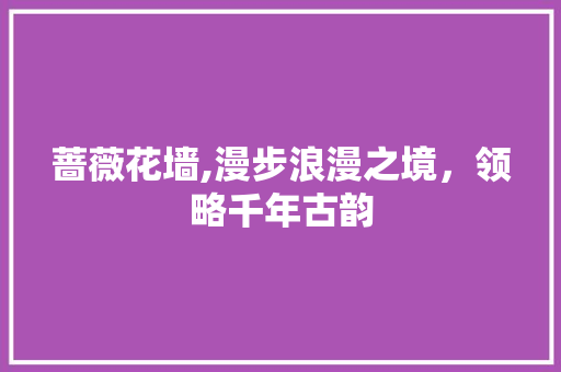 蔷薇花墙,漫步浪漫之境，领略千年古韵