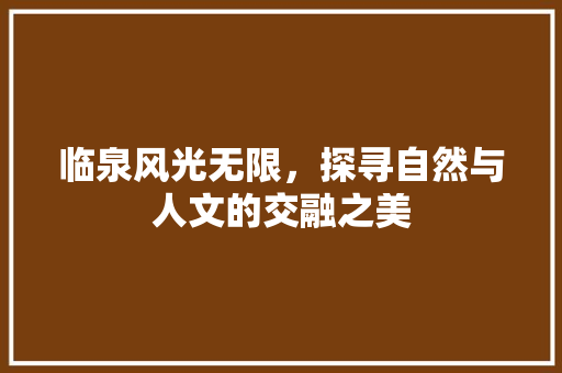 临泉风光无限，探寻自然与人文的交融之美  第1张