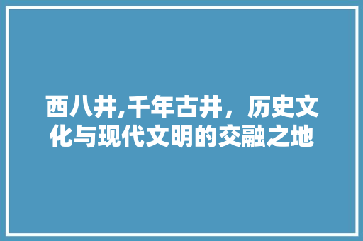 西八井,千年古井，历史文化与现代文明的交融之地