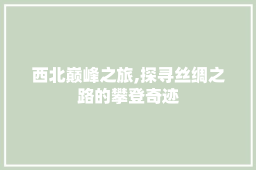 西北巅峰之旅,探寻丝绸之路的攀登奇迹