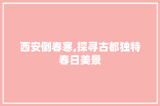 西安倒春寒,探寻古都独特春日美景  第1张