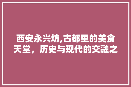西安永兴坊,古都里的美食天堂，历史与现代的交融之地