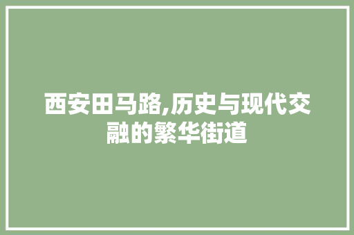 西安田马路,历史与现代交融的繁华街道