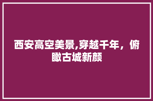 西安高空美景,穿越千年，俯瞰古城新颜