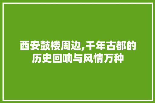 西安鼓楼周边,千年古都的历史回响与风情万种