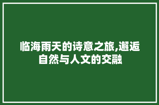 临海雨天的诗意之旅,邂逅自然与人文的交融