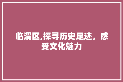临渭区,探寻历史足迹，感受文化魅力