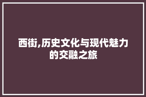 西街,历史文化与现代魅力的交融之旅