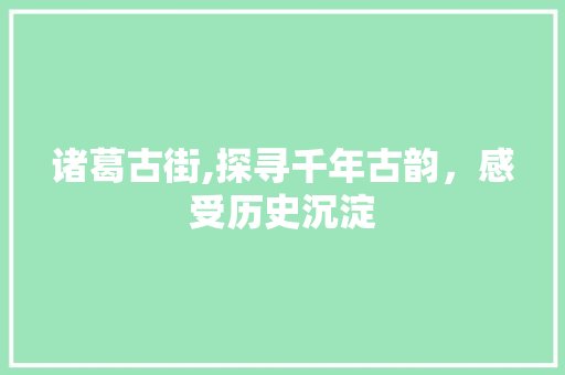 诸葛古街,探寻千年古韵，感受历史沉淀