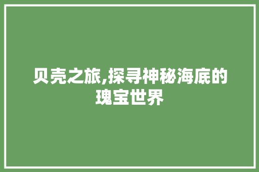 贝壳之旅,探寻神秘海底的瑰宝世界