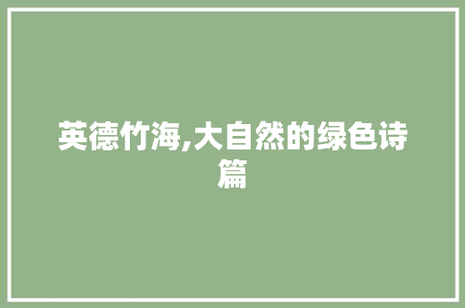 英德竹海,大自然的绿色诗篇