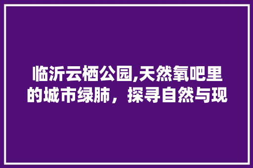 临沂云栖公园,天然氧吧里的城市绿肺，探寻自然与现代的和谐共鸣  第1张