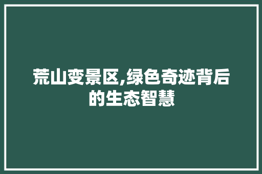 荒山变景区,绿色奇迹背后的生态智慧