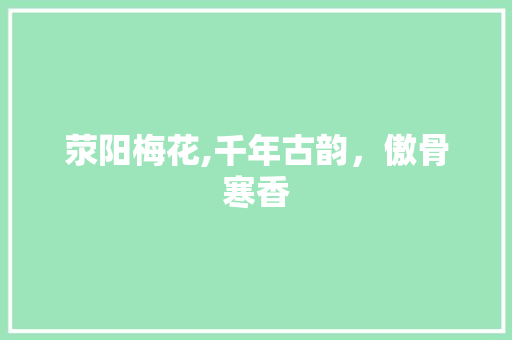 荥阳梅花,千年古韵，傲骨寒香