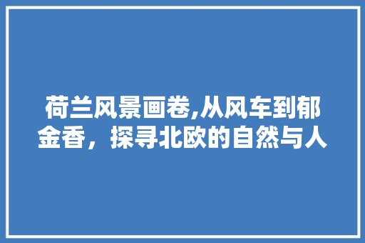 荷兰风景画卷,从风车到郁金香，探寻北欧的自然与人文之美  第1张