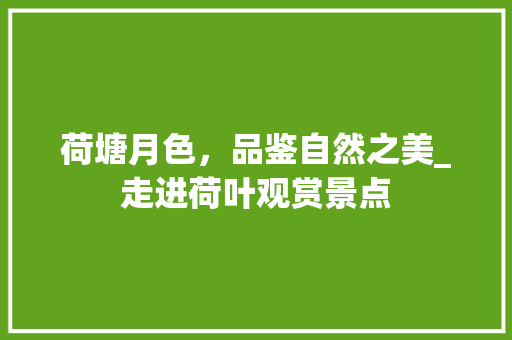 荷塘月色，品鉴自然之美_走进荷叶观赏景点