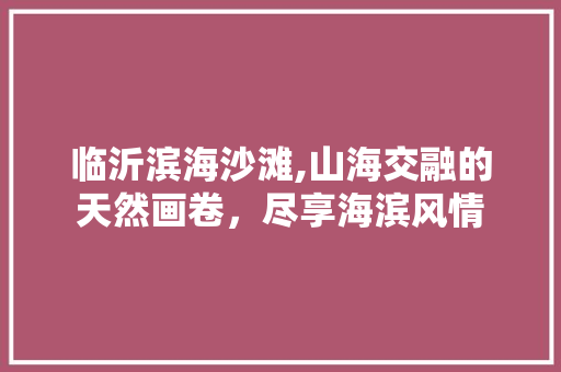 临沂滨海沙滩,山海交融的天然画卷，尽享海滨风情  第1张