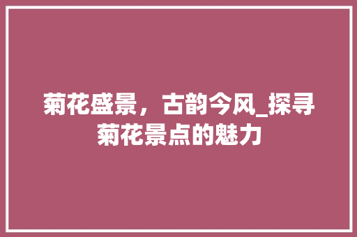 菊花盛景，古韵今风_探寻菊花景点的魅力