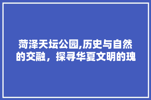 菏泽天坛公园,历史与自然的交融，探寻华夏文明的瑰宝