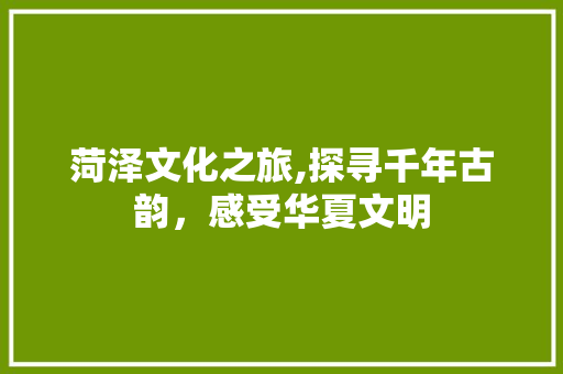 菏泽文化之旅,探寻千年古韵，感受华夏文明