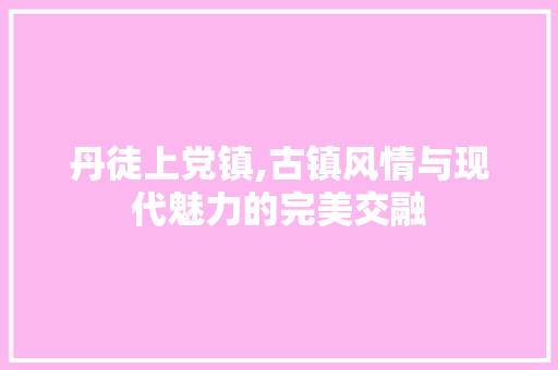 丹徒上党镇,古镇风情与现代魅力的完美交融  第1张
