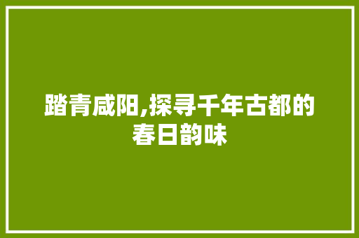 踏青咸阳,探寻千年古都的春日韵味  第1张