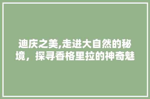 迪庆之美,走进大自然的秘境，探寻香格里拉的神奇魅力
