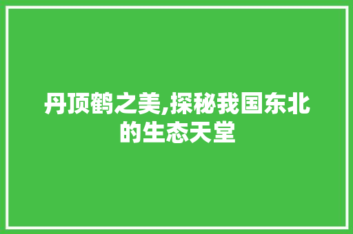 丹顶鹤之美,探秘我国东北的生态天堂