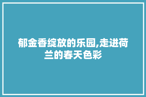 郁金香绽放的乐园,走进荷兰的春天色彩  第1张