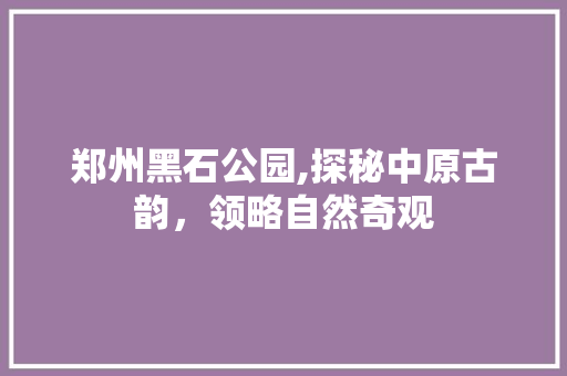 郑州黑石公园,探秘中原古韵，领略自然奇观