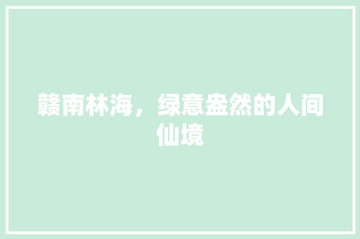 赣南林海，绿意盎然的人间仙境