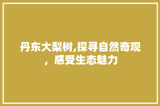 丹东大梨树,探寻自然奇观，感受生态魅力