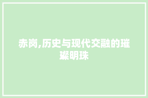 赤岗,历史与现代交融的璀璨明珠  第1张