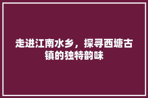 走进江南水乡，探寻西塘古镇的独特韵味