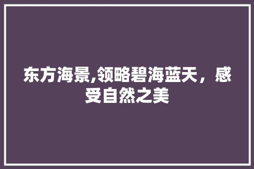 东方海景,领略碧海蓝天，感受自然之美  第1张